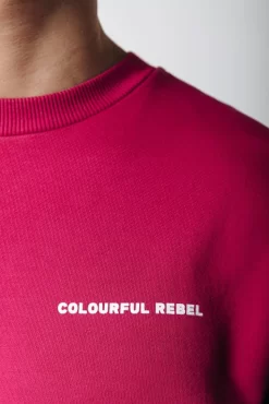 Uni Logo Sweat | Burgundy | Colourful Rebel Shop